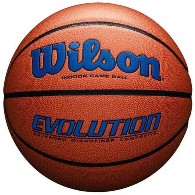 Basketbal Wilson Evolution 295