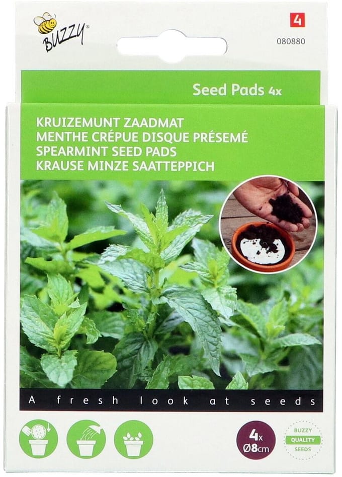 Buzzy zaden - Fun Seedpads Munt 4 st