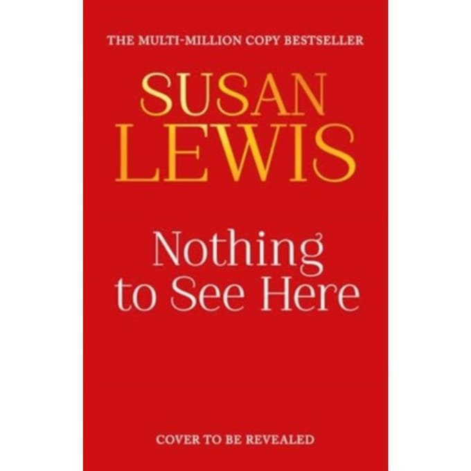 Nothing To See Here - Susan Lewis