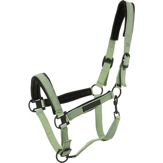 Halster voor paarden Equithème Pearl