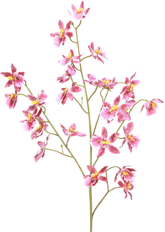 Oncidium Kunstorchideeën Decoratie Roze Violet 93cm 2st, 2 Stück