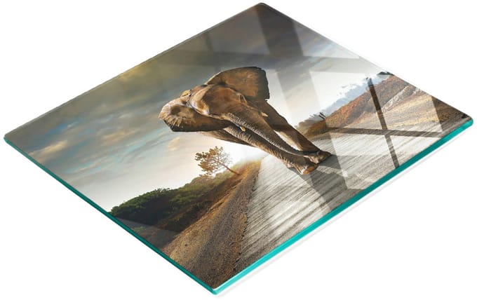 Multifunctionele decoratieve keukenplank van gehard glas in de vorm van een olifant, 60x52 cm