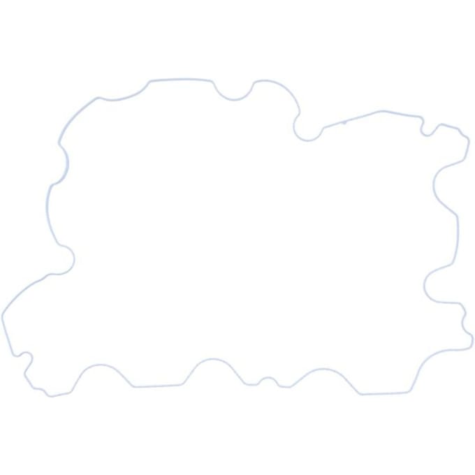 Kleppendeksel pakking REINZ 71-41824-00