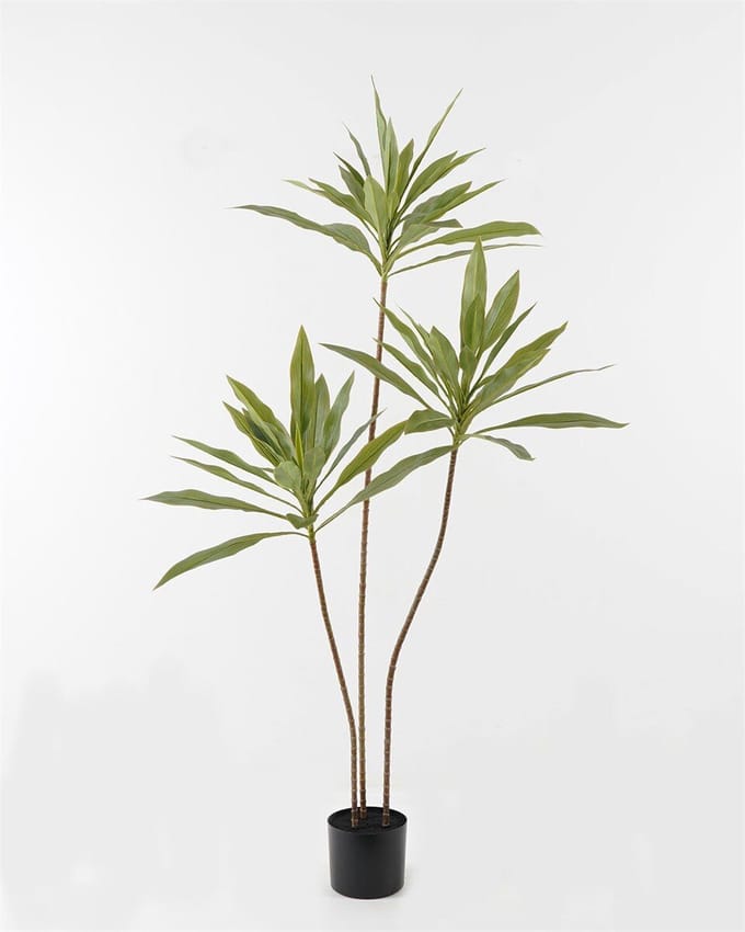 HomeBound by KY | Kunstplant Cordyline 140cm | kunstplant
