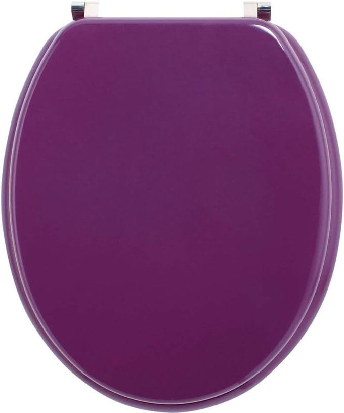 Toiletbril - Badkameraccessoire 47L x 37.7W centimetres