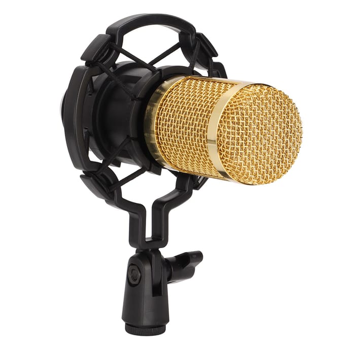 Bekabelde condensatormicrofoon XLR naar 3,5 mm professionele microfoon voor broadcast-opnames met schokdemper voor veelkleurig