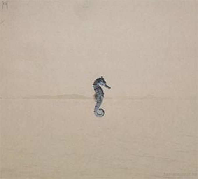 Tab - Seahorse (CD)