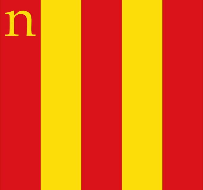 Vlag Niel 150x225cm