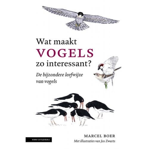 Wat Maakt Vogels Zo Interessant - Marcel Boer