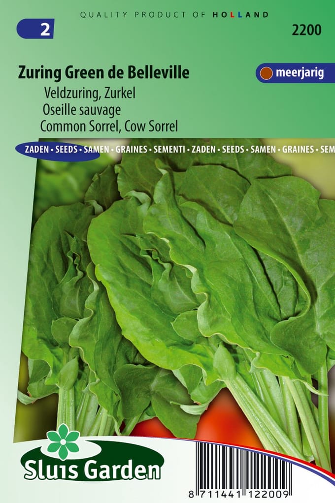 Sluis Garden - Zuring Green De Belleville (Rumex acetosa)