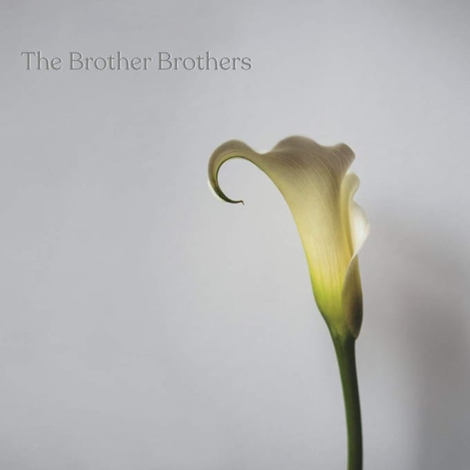 Calla Lily - Brother Brothers
