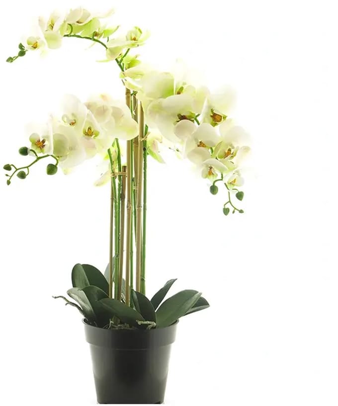 Kunstplant RT Phalaenopsis Bora x5 in pot 60cm white