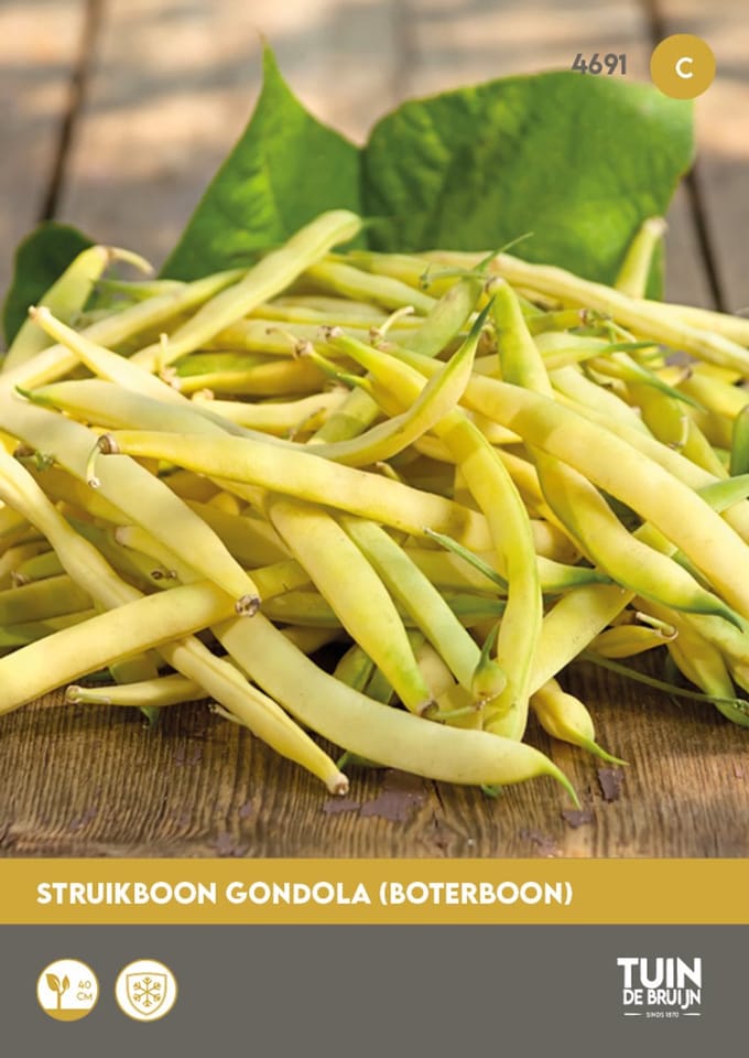 Struikbonen Gondola Zaden – Wasboon / Boterboon – ±100 Zaden – Compact Ras – Gele Sperziebonen – Moestuin – Tuin de Bruijn