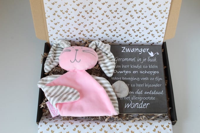 Brievenbus cadeau knuffelkonijn roze - cadeau zwangerschap - kraam cadeau - babyshower