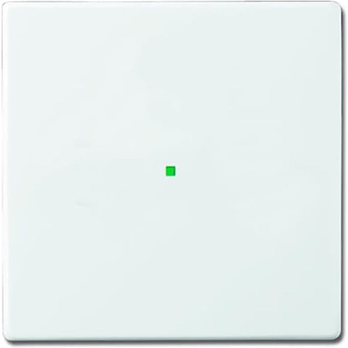ABB Busch-Jaeger Busch-FreeAtHome Bedieningselement/Centrale Plaat Schakelmateriaal - 2CKA006220A0034 - E35R5