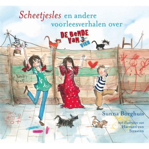 Scheetjesles - De Bende Van Vier - Sunna Borghuis