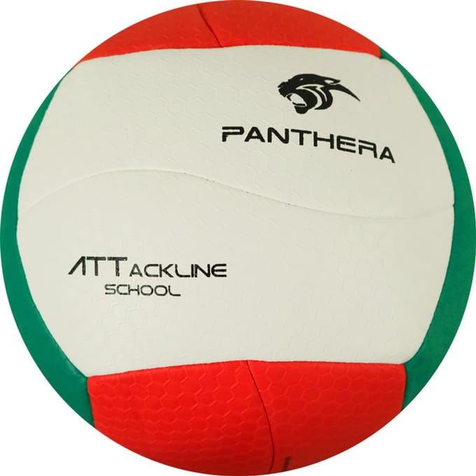 Panthera - Volleybal - Attackline school - BV500 - Volleyballen