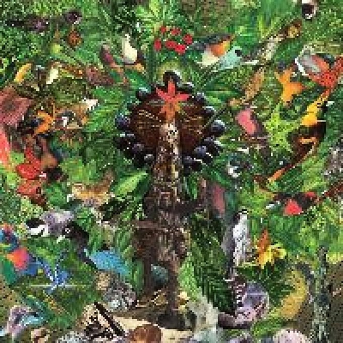 Plankton Wat - Drifter's Temple (LP)