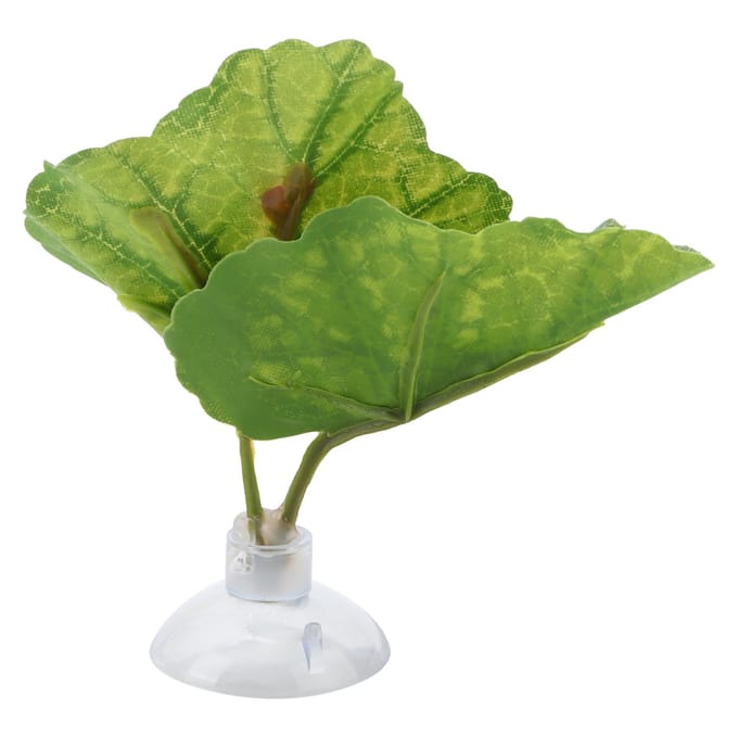 Betta Blad Hangmat Groen Aquarium Ornamentale Betta Rustplaats Paaibed Vissenkom Benodigdheden beige