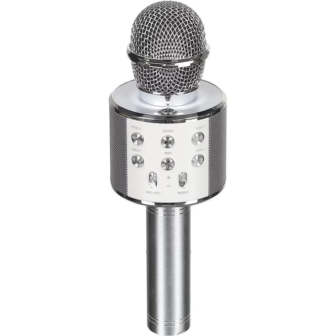 Micro-karaoke luidspreker CMP