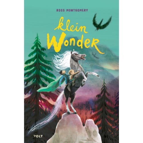 Klein Wonder - Ross Montgomery