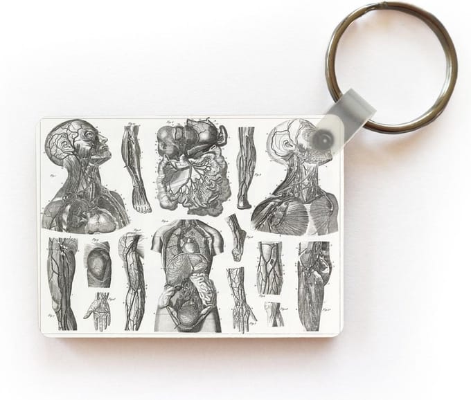 Sleutelhanger - Oude illustratie van het hart en vaatstelsel - Uitdeelcadeautjes - Plastic