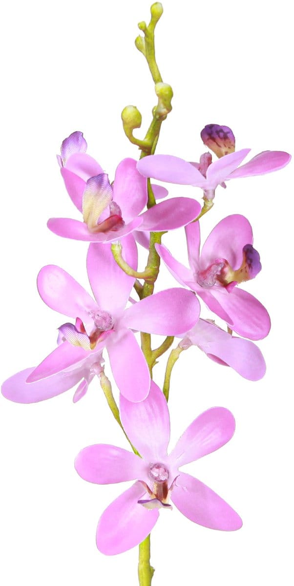 Kunstmatige orchideeën 8 paarse bloemen Ø3,5cm–5cm 2st, 2 Stück