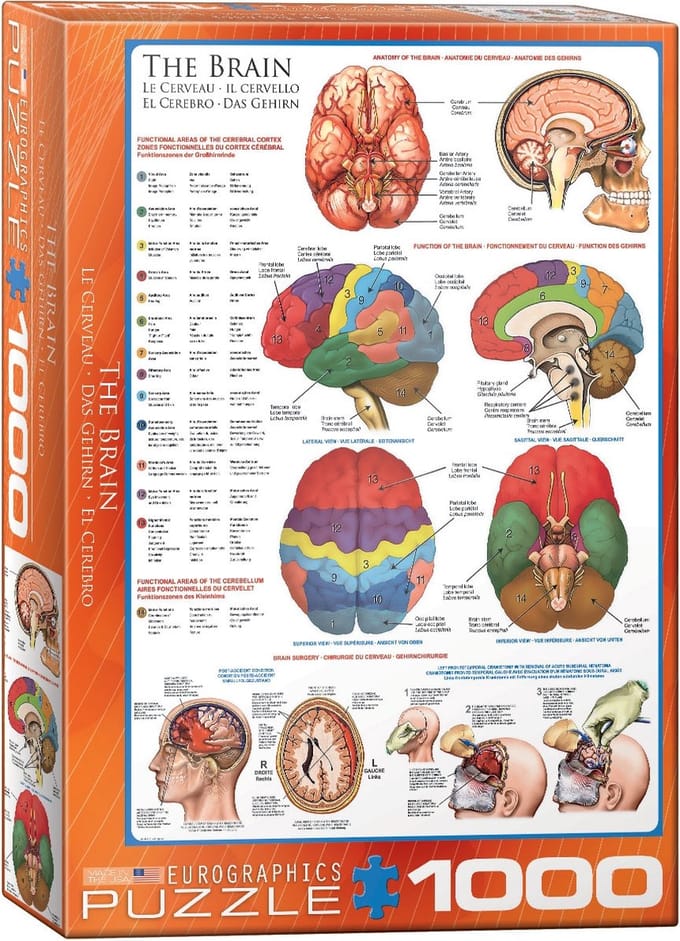Eurographics - Het Brein [The Brain] - 1000 stukjes 48×68cm (b×h) - Legpuzzel