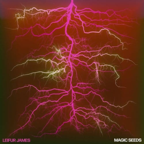 Magic Seeds - Leifur James