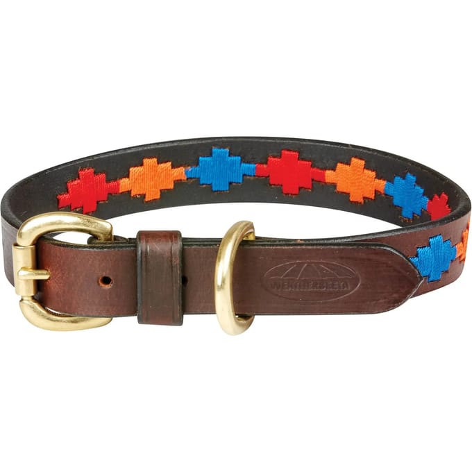 Leren halsband Weatherbeeta Polo