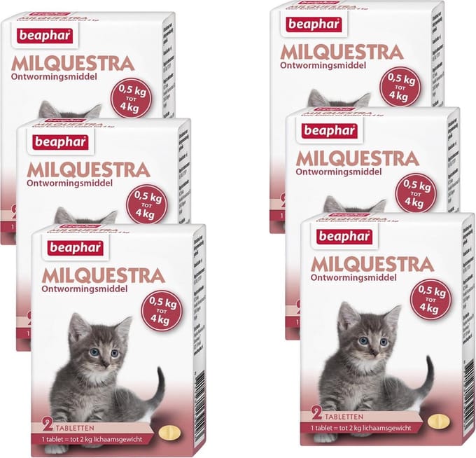 Beaphar Milquestra Kitten - Anti wormenmiddel - 6 x 2 tab 0.5 Tot 4 Kg