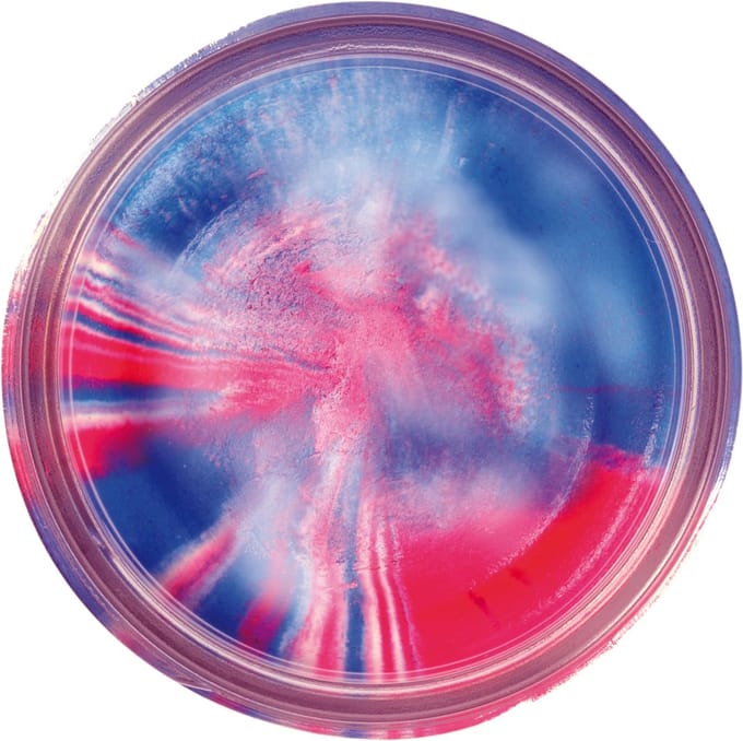 Berkley Troutbait Select Glitter - Captain America