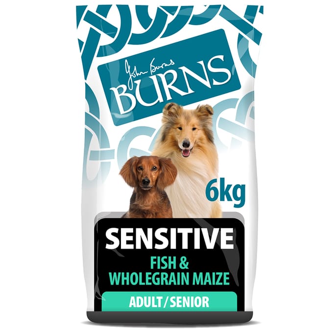 Burns Adult & Senior Sensitive - Vis & Volkoren Maïs - 6kg