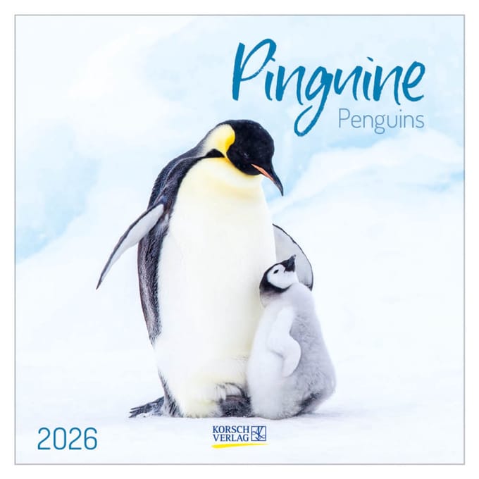 Pinguins - 2026