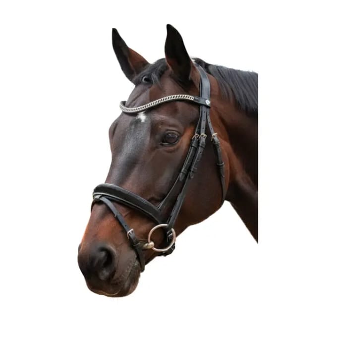Gecombineerd hoofdstel met neusriem Canter Valegro