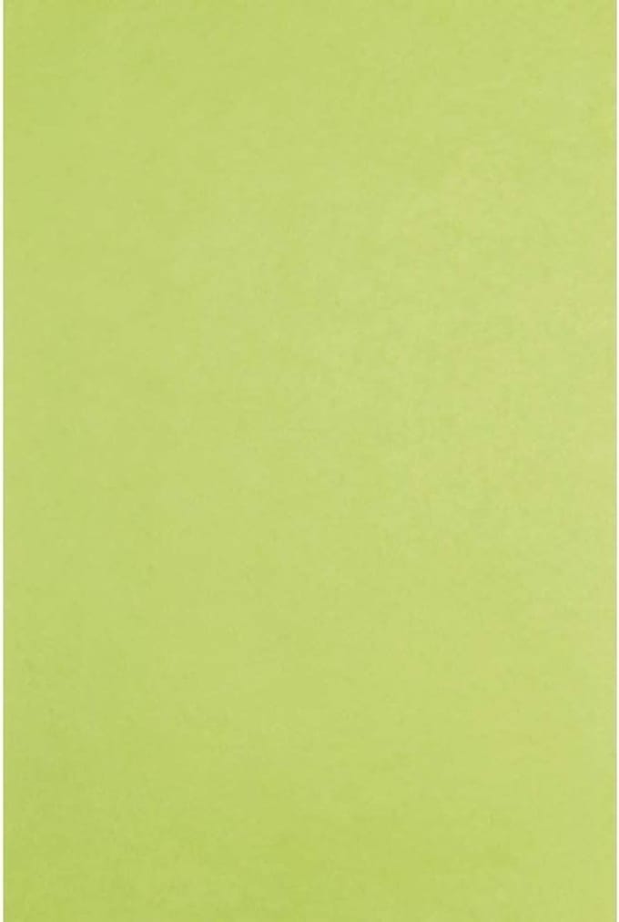 Zijdepapier Wit 480 Vellen Groot Formaat 50x75cm voor Decoratie en Knutselen