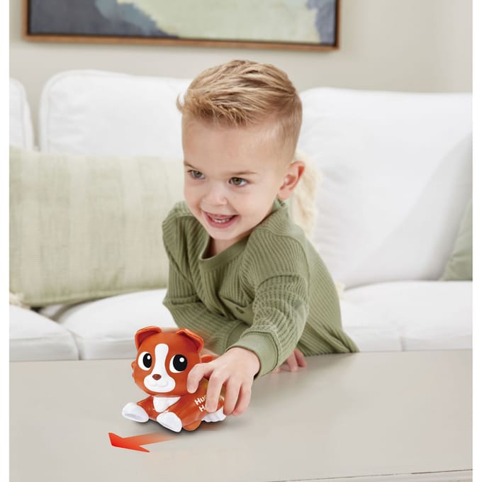 Vtech RDD - Hugo Hond Interactief speelgoed