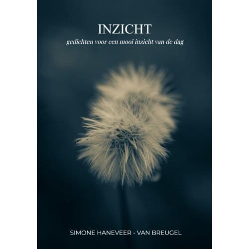Inzicht - Simone Haneveer-van Breugel