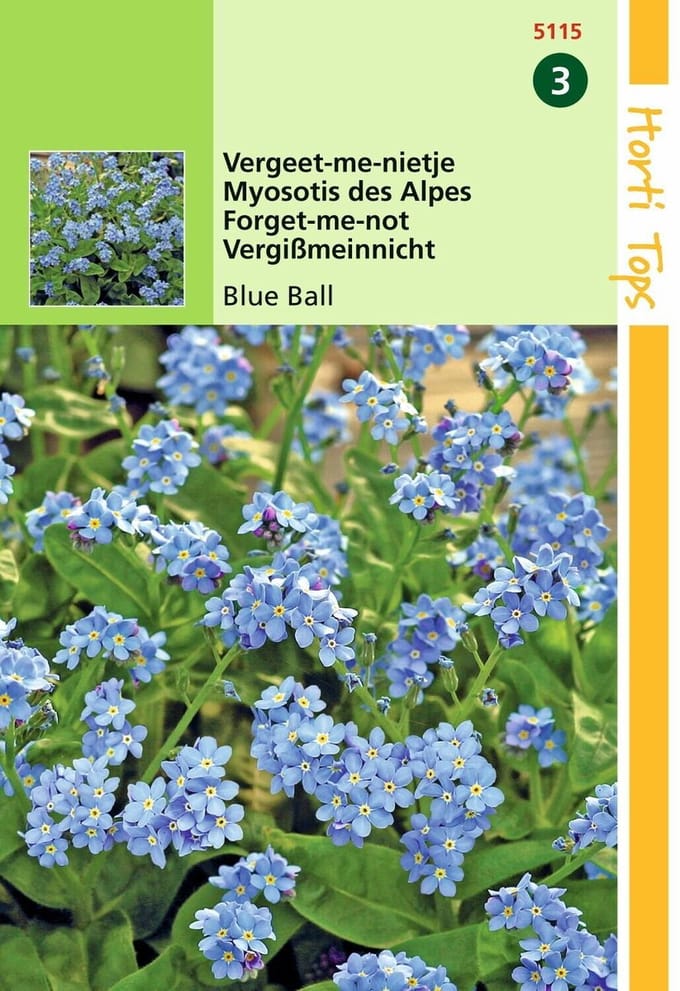 2 stuks Hortitops Myosotis alpestris Blue Ball