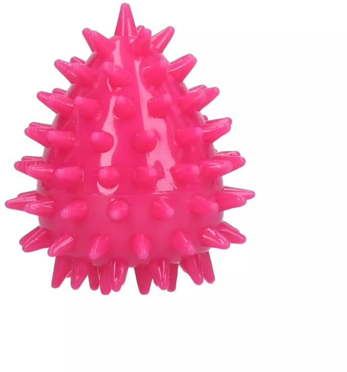 Dog Comets Cosmic Egg - S - Hondenspeelgoed - Drijvend Ei met Pieper - Onvoorspelbare Stuiter - Roze