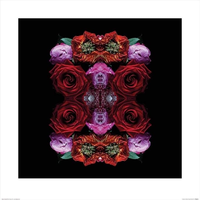 Kunstdruk Alyson Fennell - Paradise of Petals 60x60cm