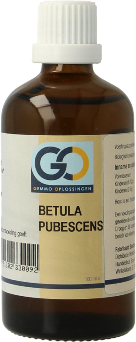 GO Betula pubescens bio 100 Milliliter