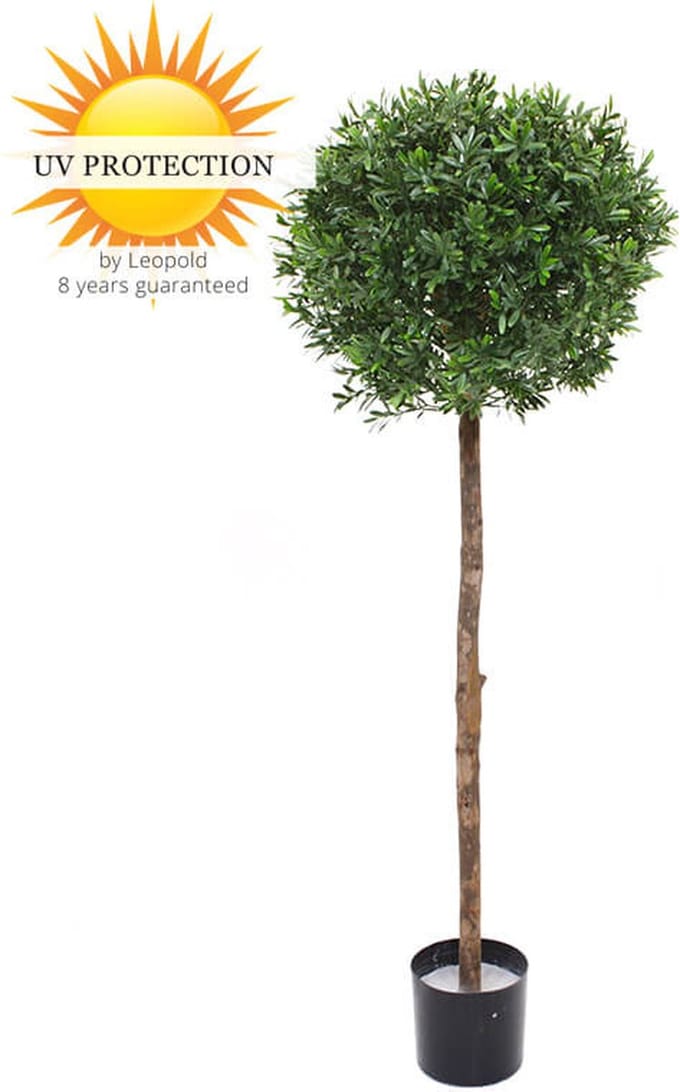 Kunst Hulst Ilex op stam 135 cm UV