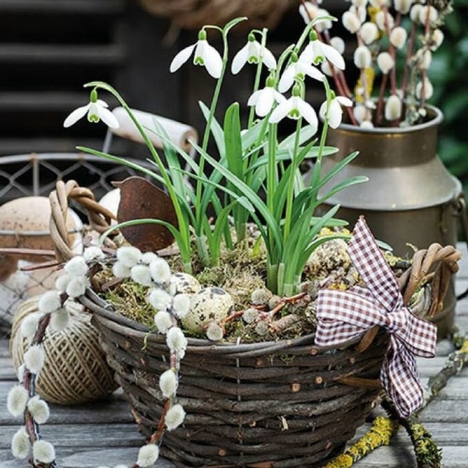 Lunch Servetten - Snowdrops In Basket