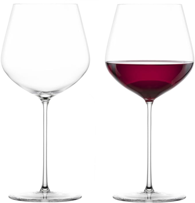 Zwiesel Glas Vuelo Allround glas met MP 145 - 0.64Ltr - 2 glazen