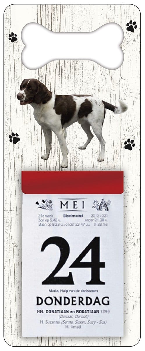 Scheurkalender 2027 Hond: Drentsche Patrijshond