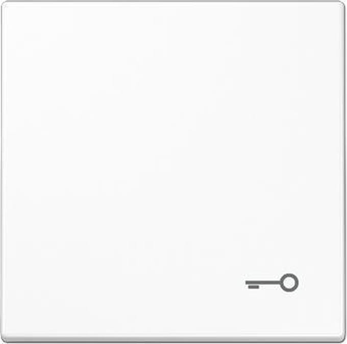 Jung LS990 Schakelelement/Centrale Plaat - LS990TWW - E2T5P