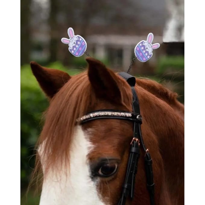 Hoofdsteun accessoire voor paarden QHP Easter