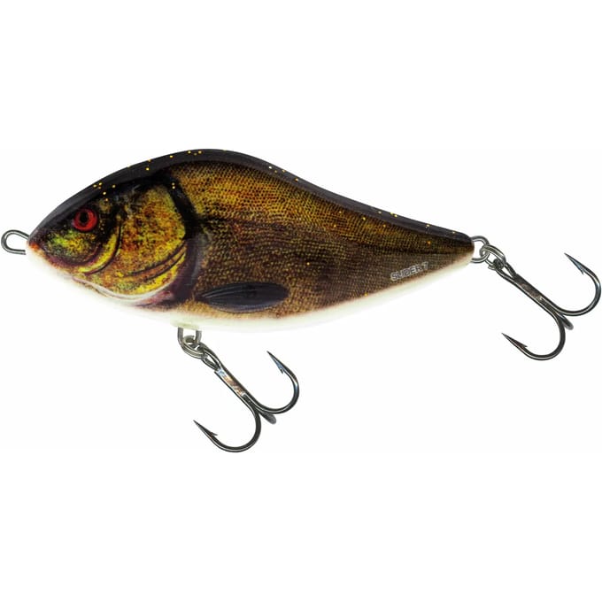 Lure Salmo SD10F 36g