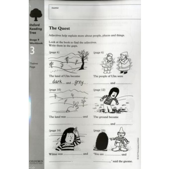 Oxford Reading Tree: Level 9: Workbooks: Workbook 3: The Quest And Survival Adventure (Pack Of 6) - Thelma Page